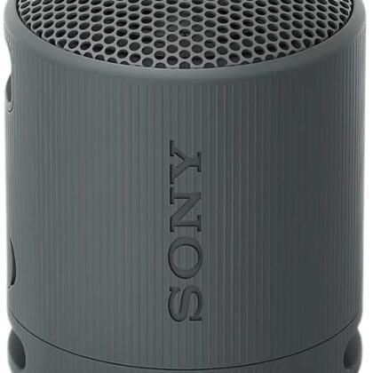 Coluna Portátil SRS-XB100 IP67 (Preto) - SONY