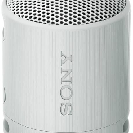 Coluna Portátil SRS-XB100 IP67 (Cinzento) - SONY