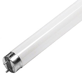 Lampada Fluorescente Ultravioleta BL T8 10W (30cm) p/ Mata-Moscas