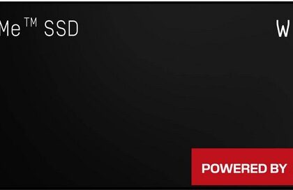 SSD M.2 2280 WD Black SN8100 1TB TLC 3D CBA NAND NVMe PCIe Gen 5.0x4 - WESTERN DIGITAL