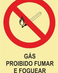 Sinais de Proibição – Fotoluminescente 2F. (45º com a Parede) 200x300mm