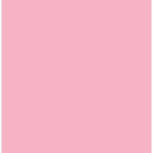 Caderno A4 Quad. PP Pastel Powder Pink - COOLPACK