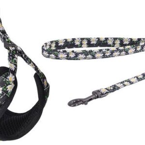 Conjunto Peitoral + Trela 1.5m p/ Cão (Multicolorido) - DOGNESS