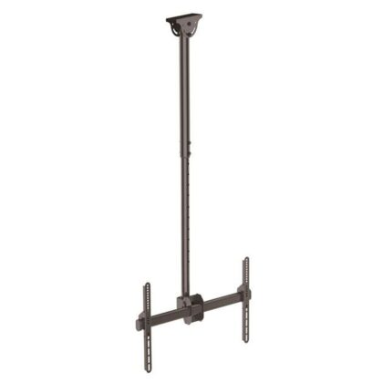 Suporte de Teto p/Ecrã Plano (75) Preto - STARTECH