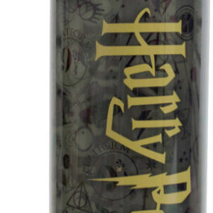 Garrafa Logo Harry Potter 750ml – WARNER BROS