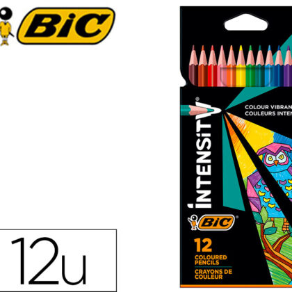 Lapis De Cores Intensity Caixade 12 Unidades Cores Sortidas - BIC