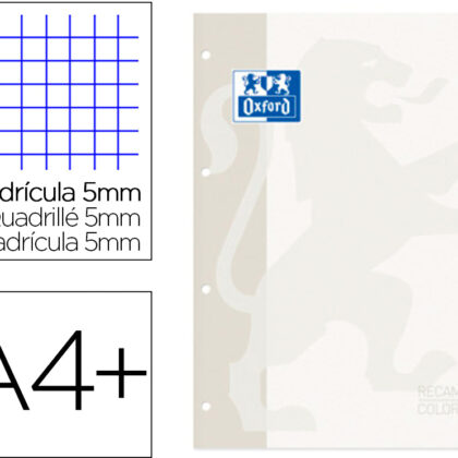 Recarga Cor 1 Din A4+ 80 Folhas 90 Gr Quadricula 5 Mm 4 Furos Cor Branco - OXFORD