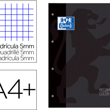 Recarga Cor 1 Din A4+ 80 Folhas 90 Gr Quadricula 5 Mm 4 Furos Cor Preto - OXFORD