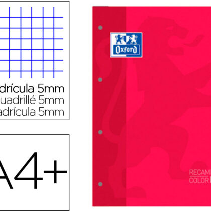 Recarga Cor 1 Din A4+ 80 Folhas 90 Gr Quadricula 5 Mm 4 Furos Cor Vermelho - OXFORD