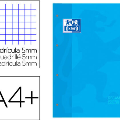 Recarga Cor 1 Din A4+ 80 Folhas 90 Gr Quadricula 5 Mm 4 Furos Cor Turquesa - OXFORD