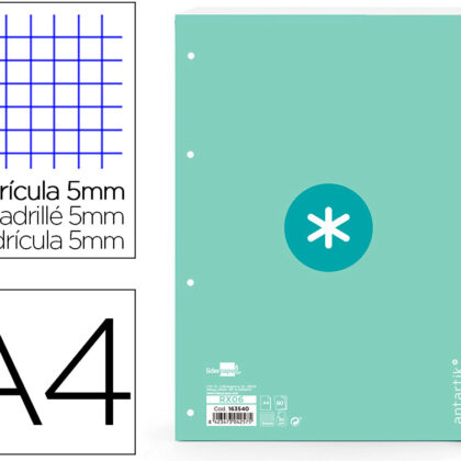 Recarga Colada Quadricula De 5Mm Din A4 100 F 90 Gr 4 Furos 1 Banda Moldura Cor Menta - ANTARTIK