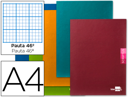 Caderno Escolar Scriptus 48F A4 Pautado Papel 90Gr