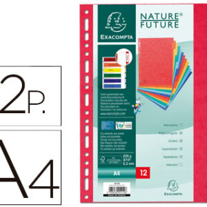 Separador Exacompta Cartolina Conjunto de 12 Separadores de Cores A4 Multiperfurado