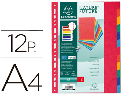Separador Exacompta Cartolina Conjunto de 12 Separadores de Cores A4 Multiperfurado