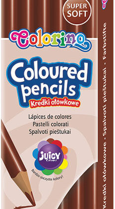 Pack 12 Lápis Cor Colorino Castanho - COLORINO