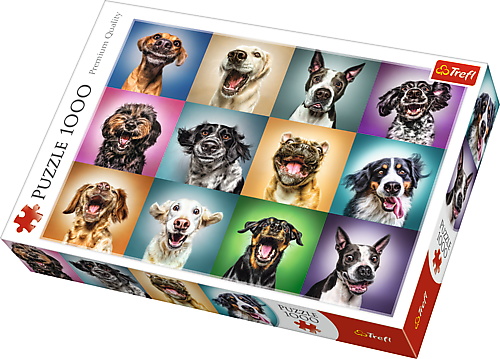 Puzzle 1000pcs Cães Engraçados