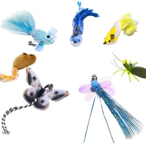 Brinquedos Interativos p/ Robot ROLA Mini / EBO Air 2 Plus - ENABOT