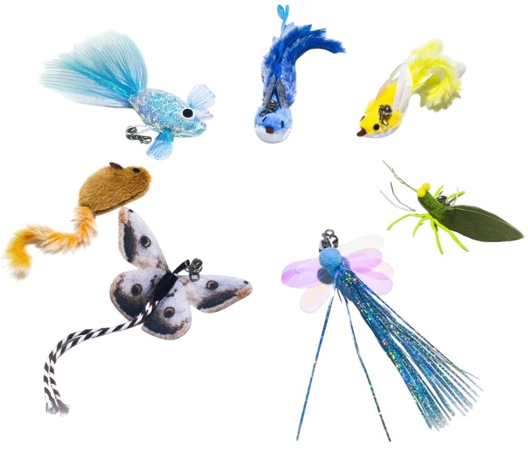 Brinquedos Interativos p/ Robot ROLA Mini / EBO Air 2 Plus - ENABOT
