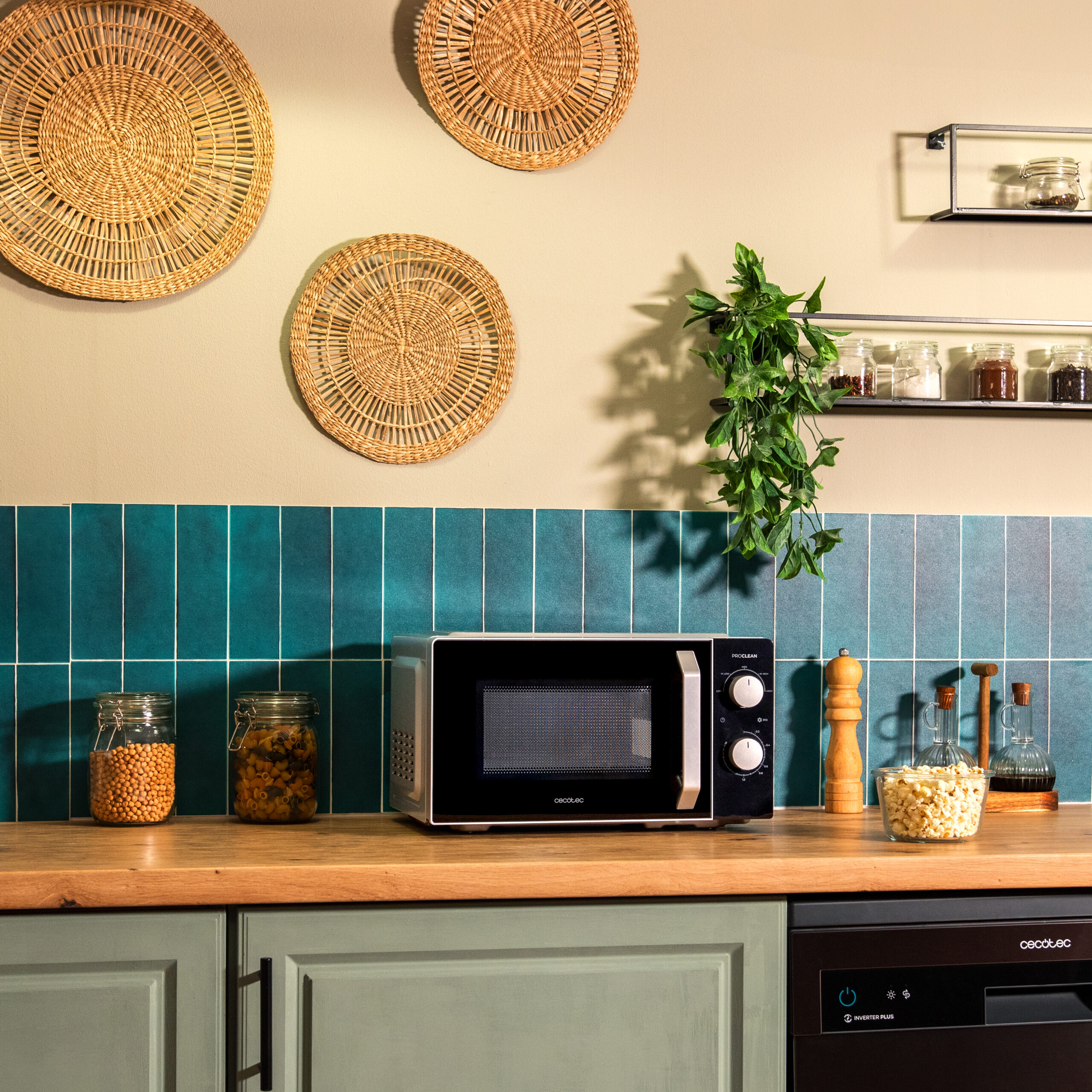 01338_Proclean_2010_Inverter_HQ_01_edhl18
