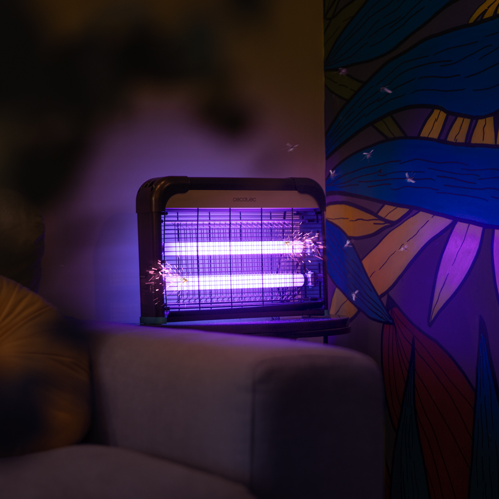 01789_ByeFly_5000_Destroy_HL_01