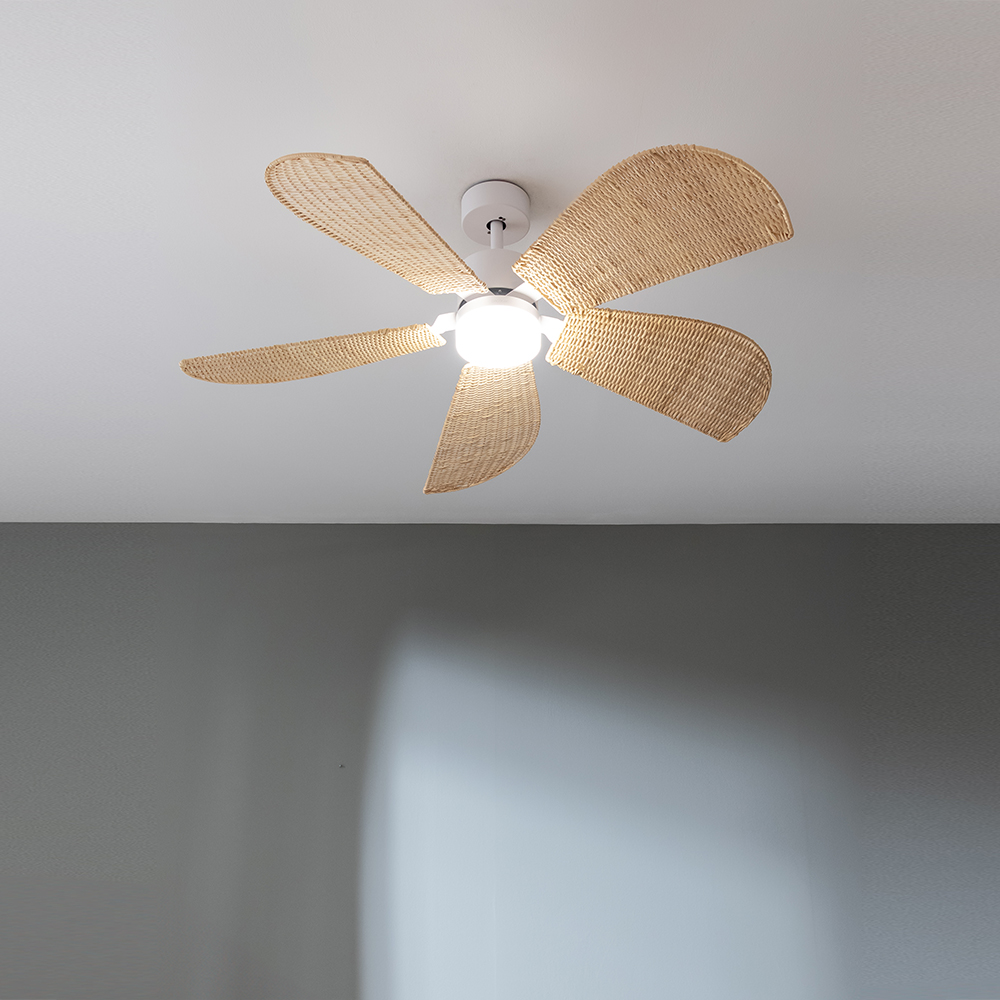 08472_EnergySilence_Aero_5290_Natural_HL_01