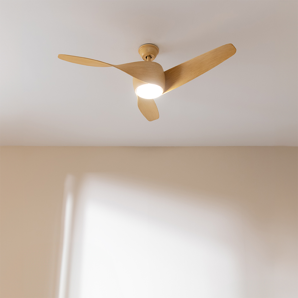 08473_EnergySilence_Aero_5290_WhiteWood_HL_01_f7518o