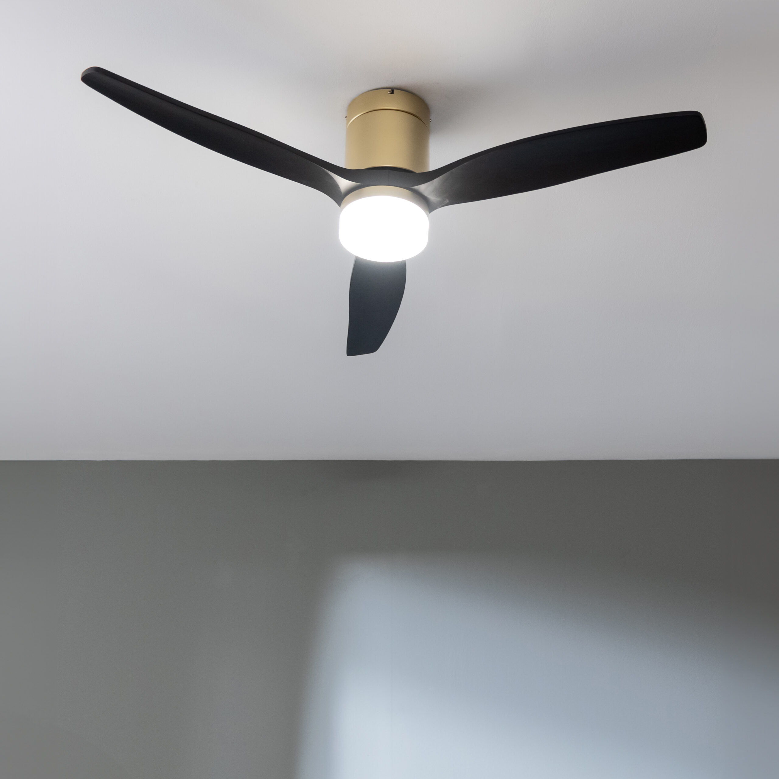 08525_Aero_5600_Aqua_GoldBlack_Connected_HL_01_z0zglc
