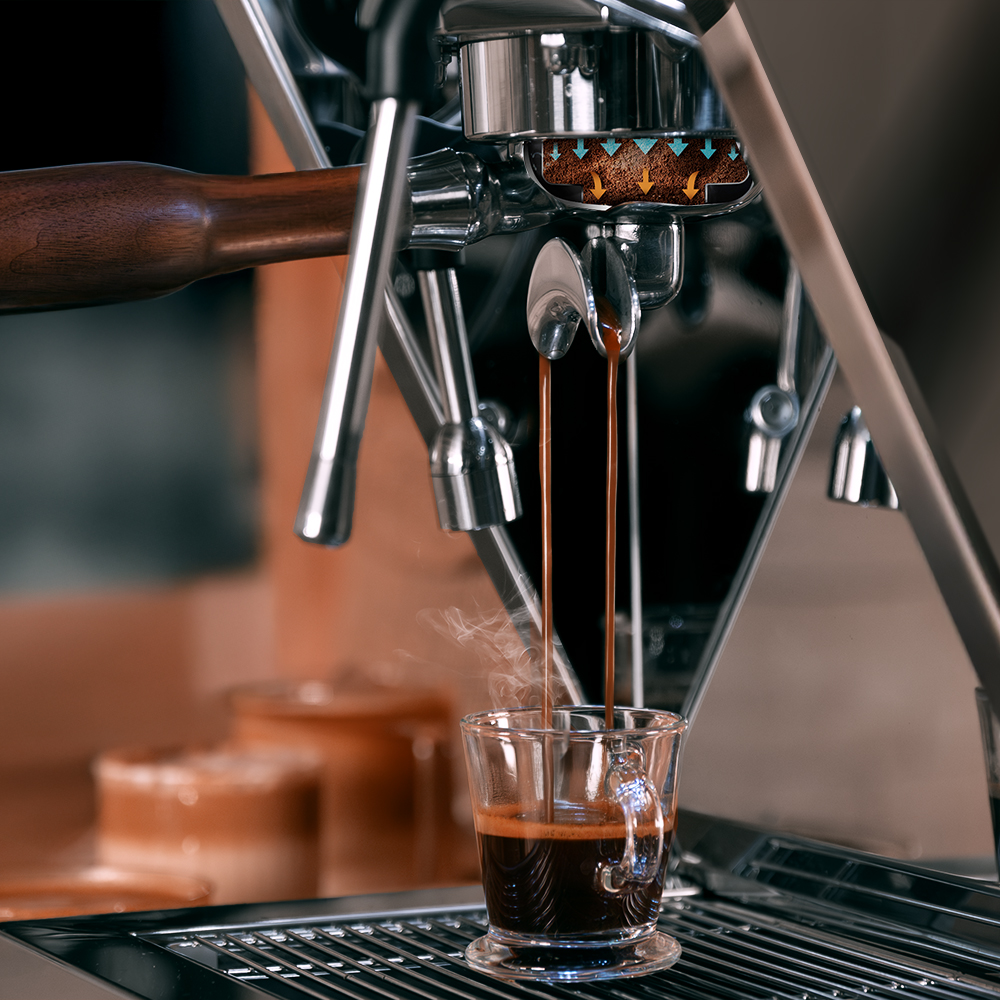 A01_EU01_100128_Baristeo_Brava_HL_01_qcscoa